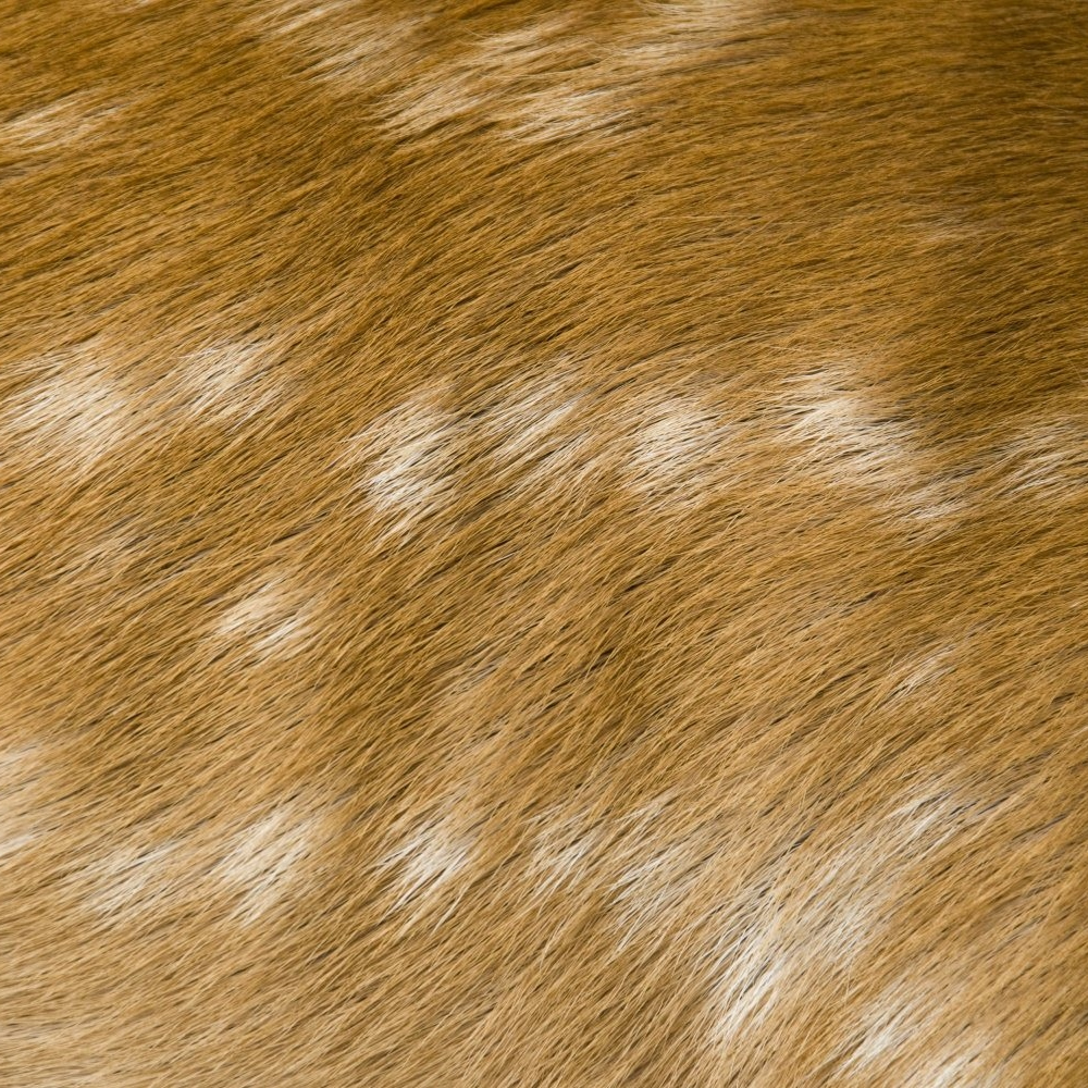 HPL Gentas - Kolor płyty: DG13 DEER, Fantazyjne Kolory