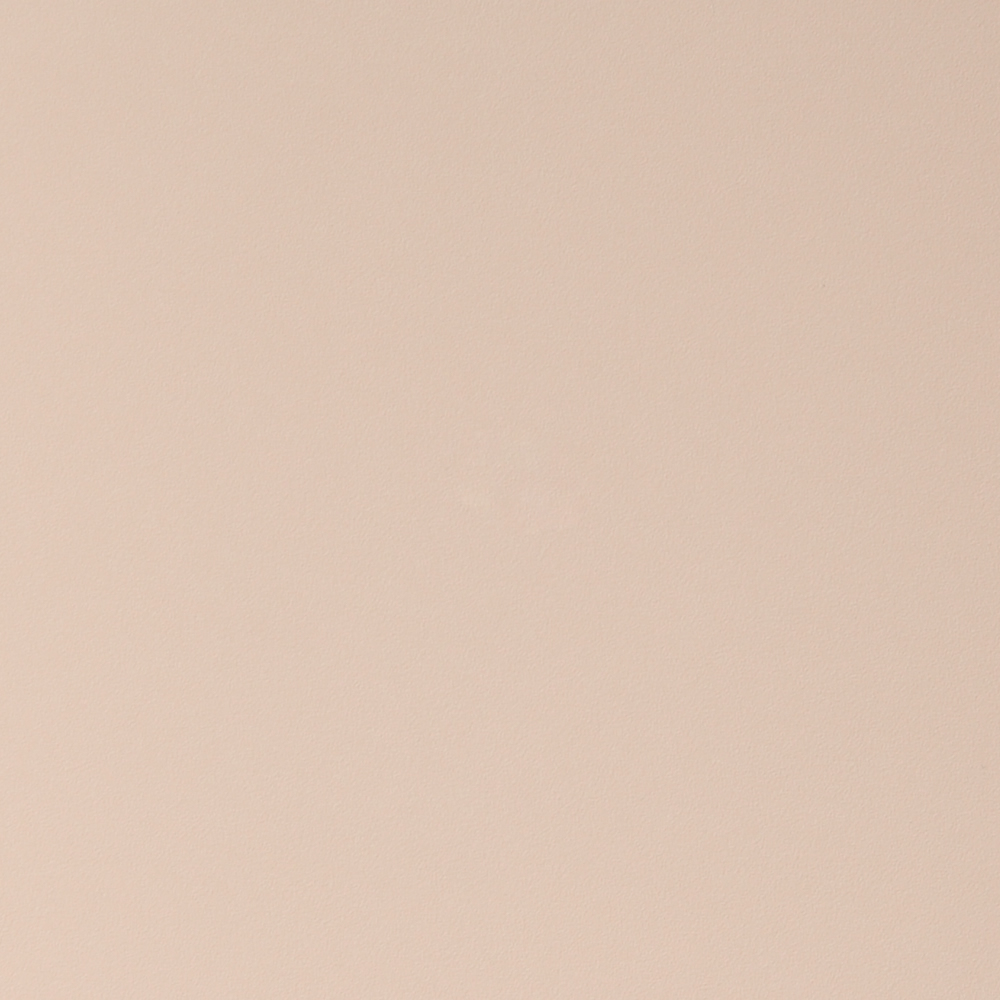HPL Gentas - Kolor płyty: 3163 LIGHT BROWN, Monokolory
