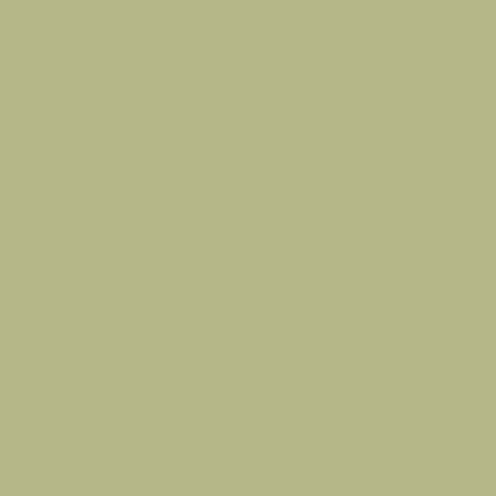 HPL Gentas - Kolor płyty: 3254 VERDE LIMONE, Monokolory