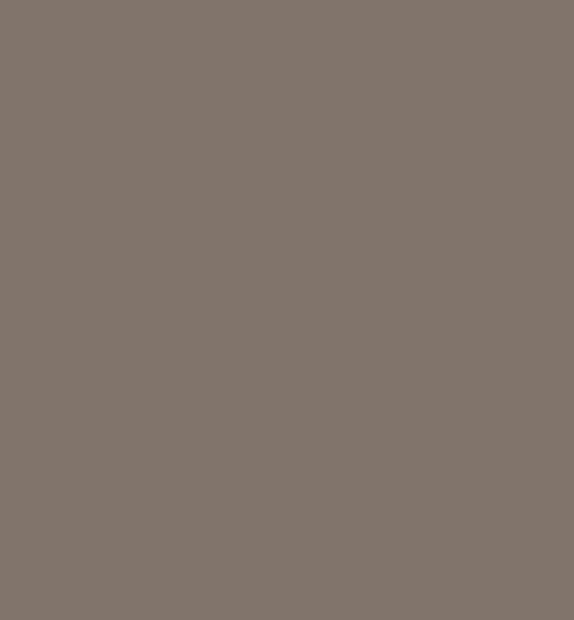 HPL Gentas - Kolor płyty: 3314 Brown, Monokolory