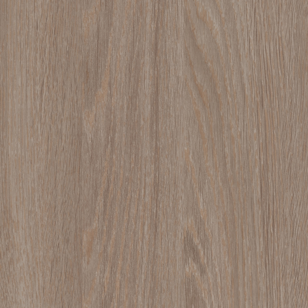 HPL Gentas - Kolor płyty: 4606 CHINCHILA OAK, Drewnopodobne