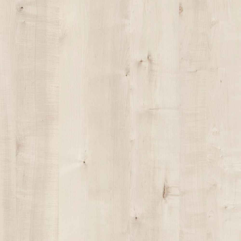 HPL Gentas - Kolor płyty: 4643 WHITE BIRCH NEW, Drewnopodobne