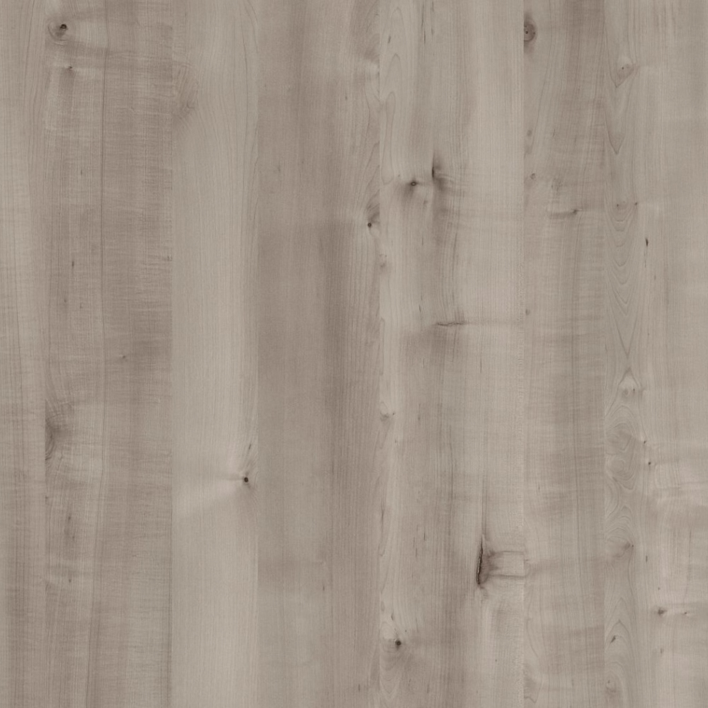 HPL Gentas - Kolor płyty: 4645 GREY BIRCH NEW, Drewnopodobne