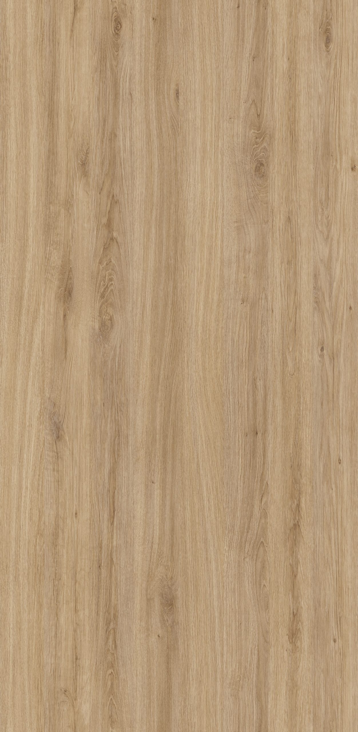 HPL Gentas - Kolor płyty: 4664 SANTANA OAK, Drewnopodobne
